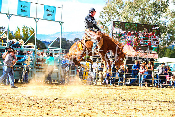TumutRodeo2017_1585