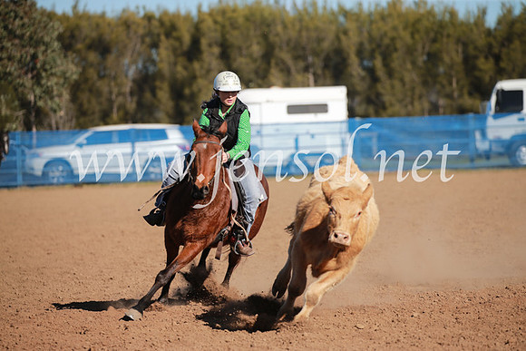 CCCampdraft2016_6236