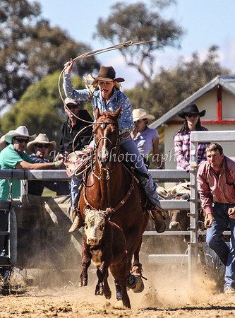 IMG_0068Jindy