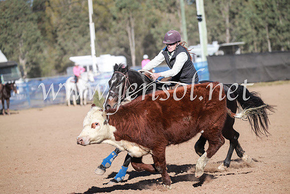 CCCampdraft2016_6282