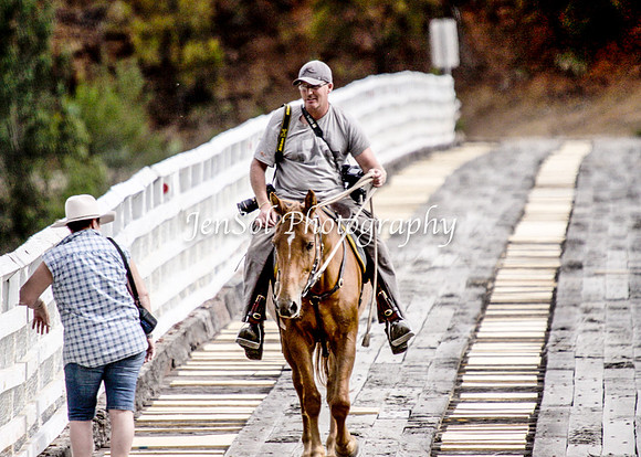 Cabcattle20121_0024