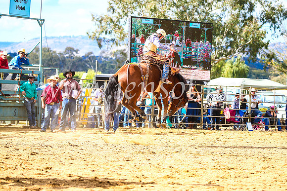 TumutRodeo2017_1736