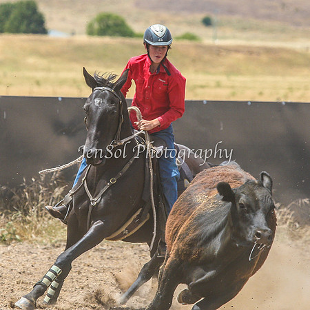 AdaminabyCampdraftSun2015_3275
