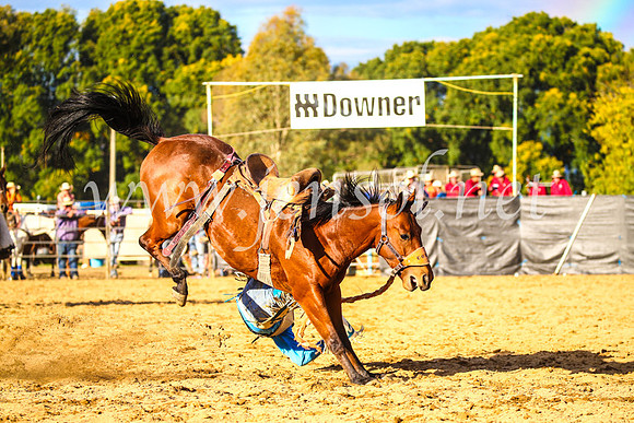 TumutRodeo2017_2620