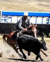 AdaminabyCampdraft2015_0618
