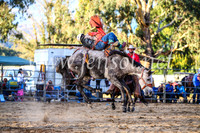 TumutRodeo2017_3020