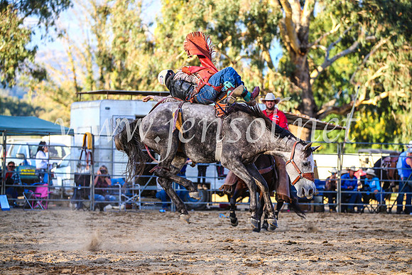 TumutRodeo2017_3020