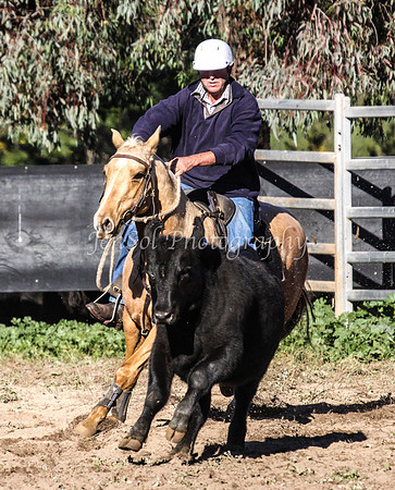 IMG_0145Jugiong1