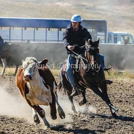 AdaminabyCampdraft2015_0057
