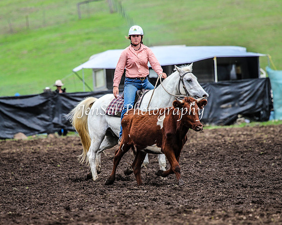 CabanandraCampdraft2014_2331