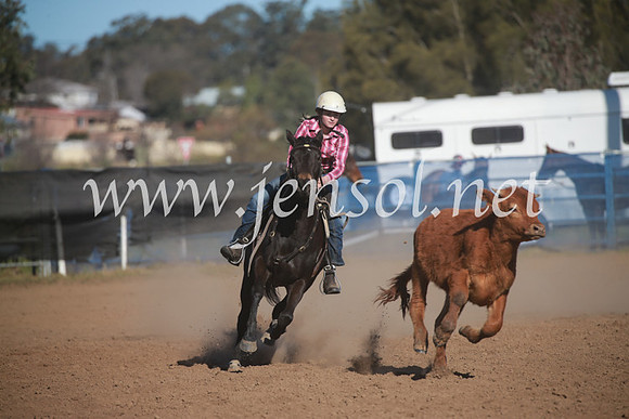 CCCampdraft2016_6242