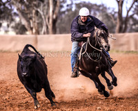 Illabo Campdraft 2009