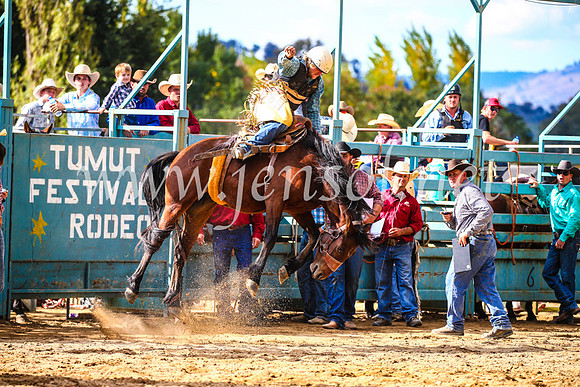 TumutRodeo2017_1619