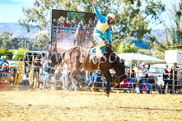 TumutRodeo2017_1865
