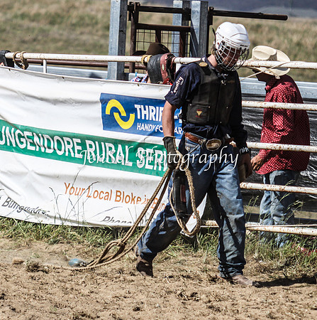 Bungendore2011_1327
