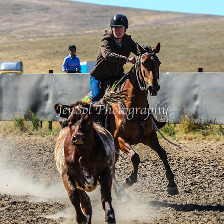 AdaminabyCampdraft2015_0095
