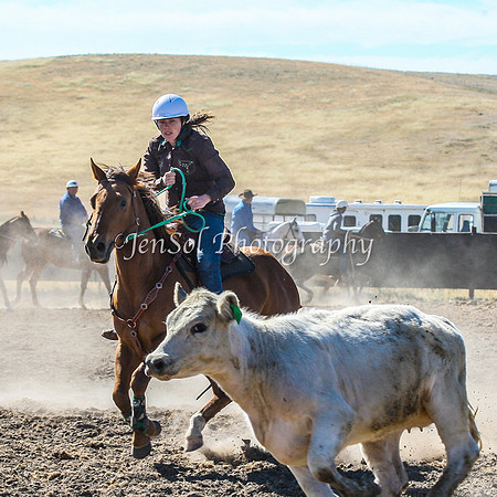 AdaminabyCampdraft2015_0069