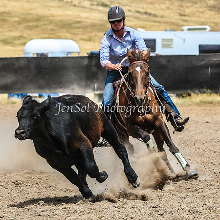 AdaminabyCampdraftSun2015_3391