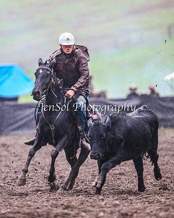 CabanandraCampdraft2014_3467