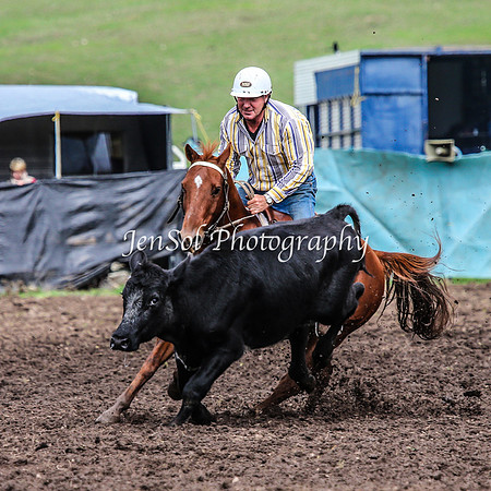 CabanandraCampdraft2014_2393