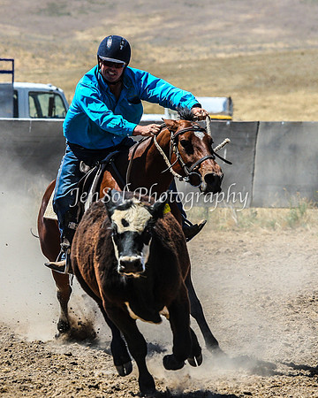 AdaminabyCampdraft2015_0305