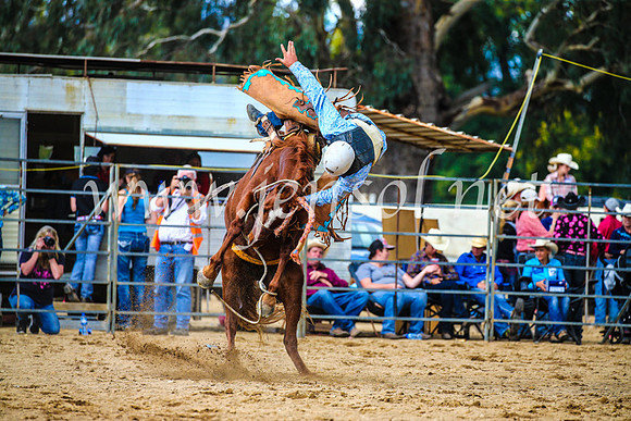 TumutRodeo2017_1544