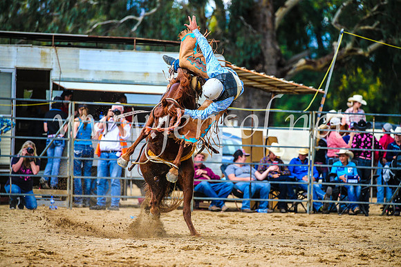 TumutRodeo2017_1543