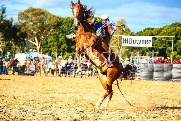 TumutRodeo2017_2405