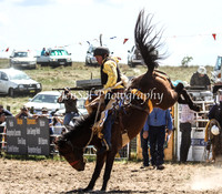 Bungendore2011_0282
