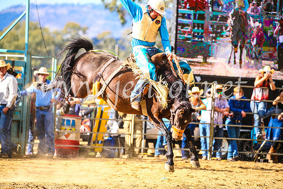 TumutRodeo2017_1856