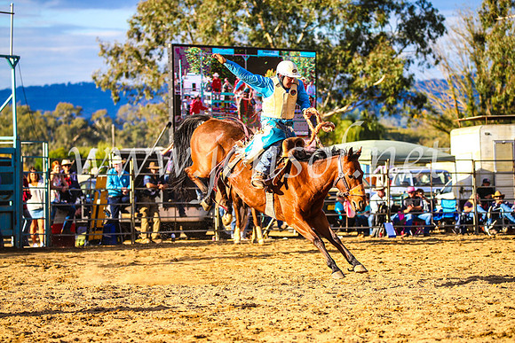 TumutRodeo2017_2593