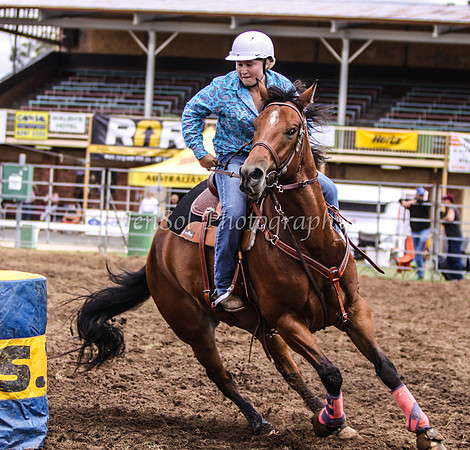 IMG_0191Qbn1