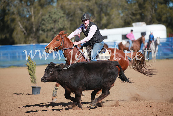 CCCampdraft2016_6222