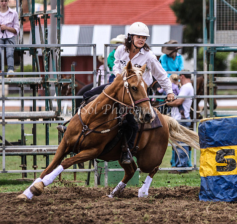 IMG_0184Qbn1