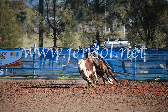 CCCampdraft2016_6260