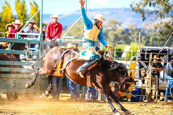 TumutRodeo2017_1842