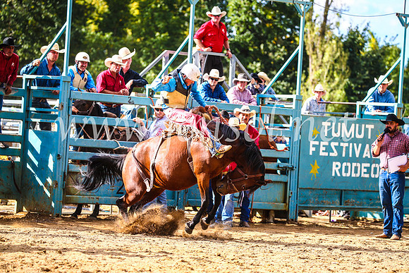 TumutRodeo2017_1786