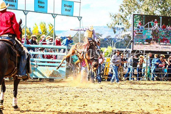 TumutRodeo2017_1711