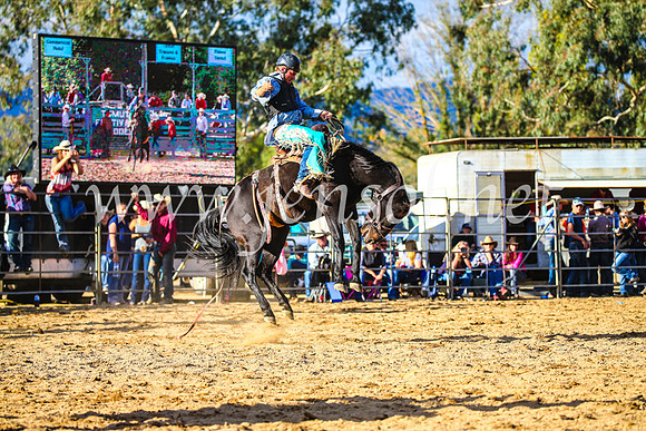 TumutRodeo2017_2487