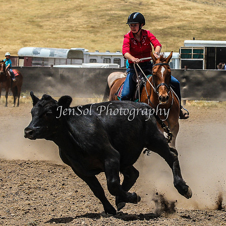 AdaminabyCampdraftSun2015_3152