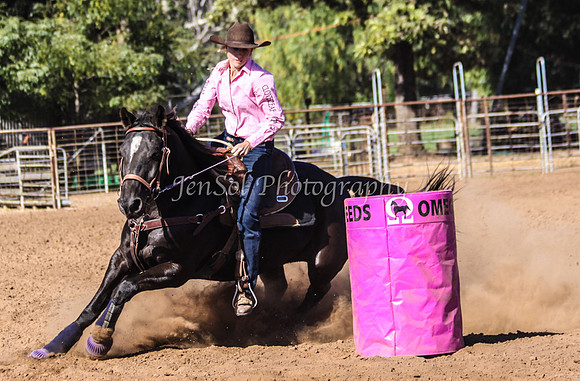 Dubbo2 359