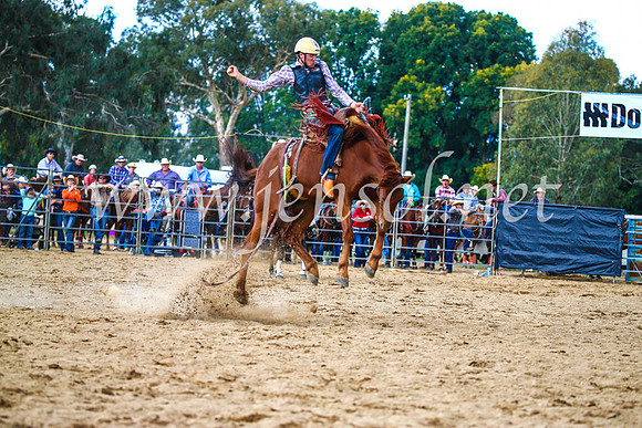 TumutRodeo2017_1457