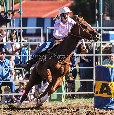 IMG_0217Qbn2