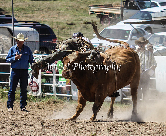 Bungendore2011_1111