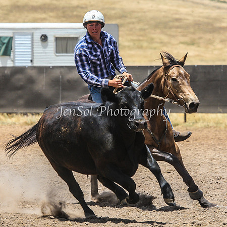 AdaminabyCampdraftSun2015_3178