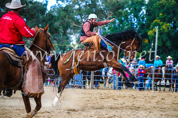 TumutRodeo2017_1511