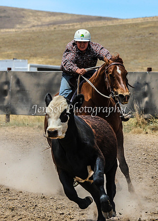 AdaminabyCampdraftSun2015_3112