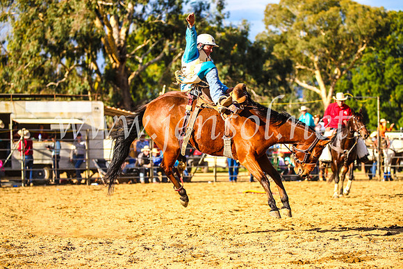TumutRodeo2017_2604