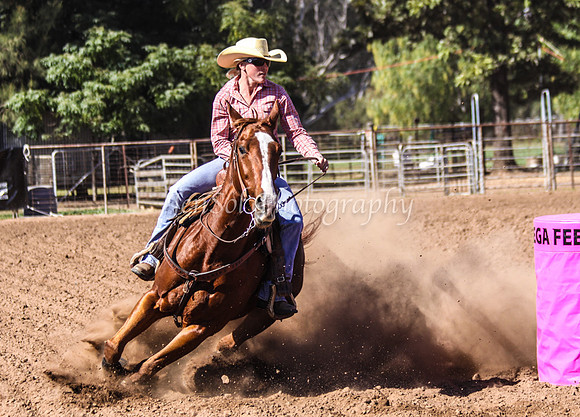 Dubbo2 019