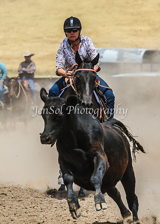 AdaminabyCampdraftSun2015_3370